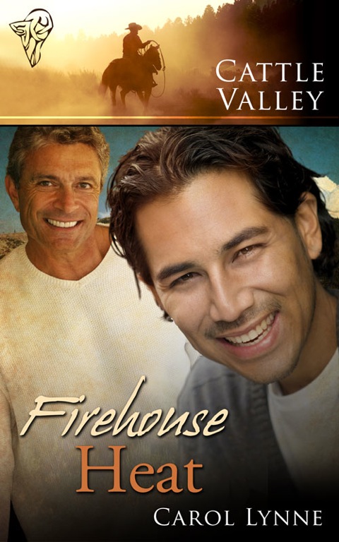 Cover image for book Firehouse Heat