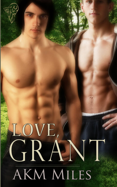 Cover image for book Love, Grant