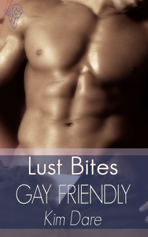 Cover image for book Gay Friendly