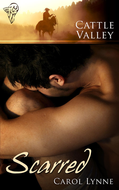 Cover image for book Scarred