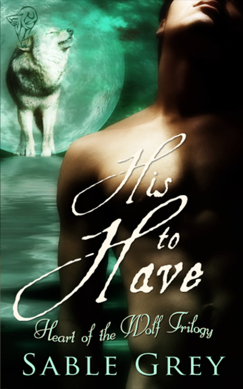 Cover image for book His to Have