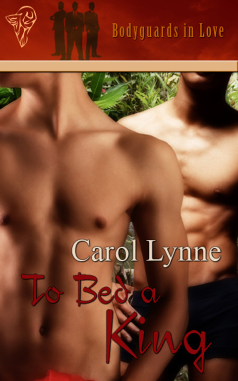 Cover image for book To Bed a King