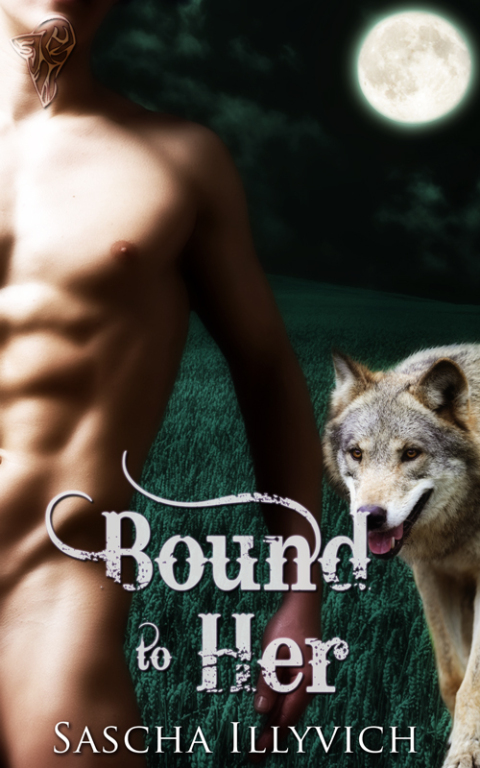 Cover image for book Bound to Her