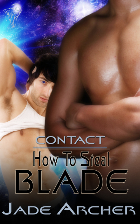 Cover image for book How to Steal Blade