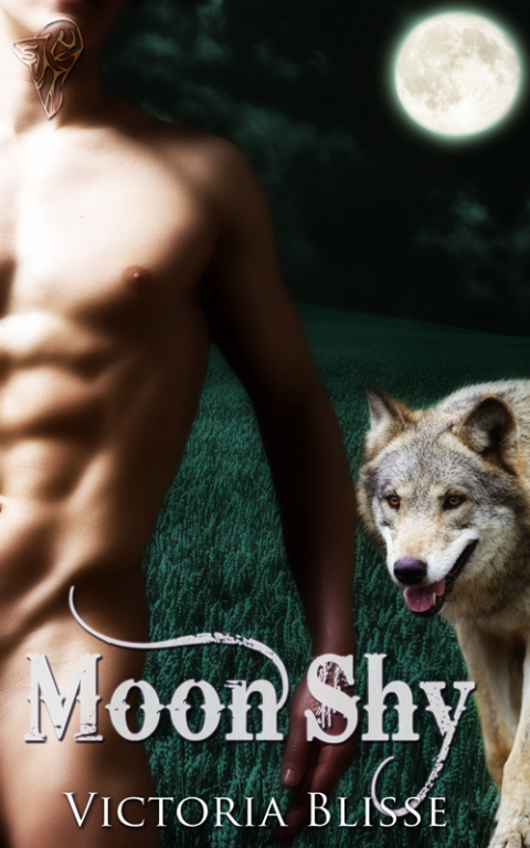Cover image for book Moon Shy