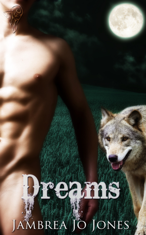Cover image for book Dreams