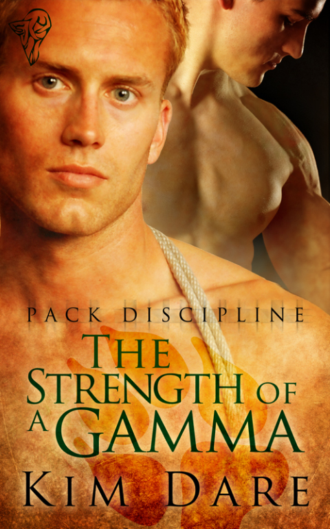 Cover image for book The Strength of a Gamma