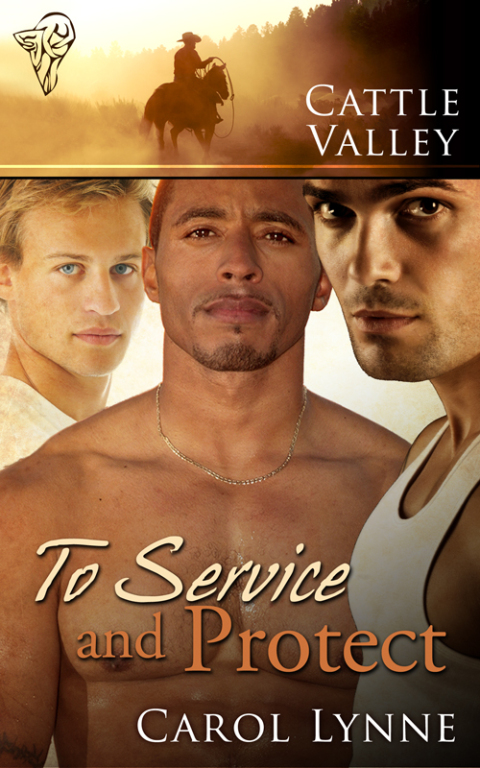 Cover image for book To Service and Protect