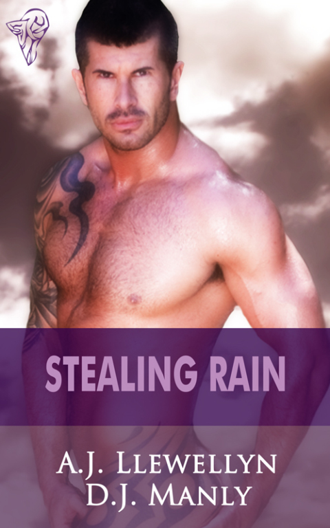 Cover image for book Stealing Rain