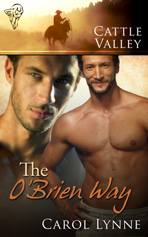 Cover image for book The O'Brien Way