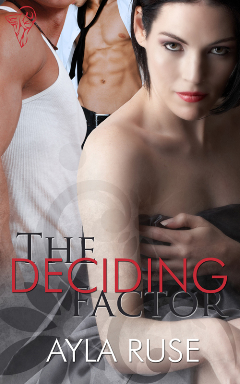 Cover image for book The Deciding Factor