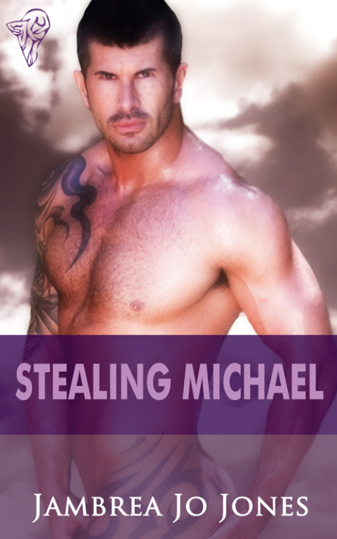 Cover image for book Stealing Michael
