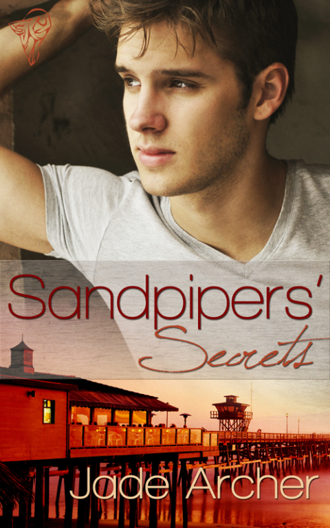 Cover image for book Sandpipers' Secrets