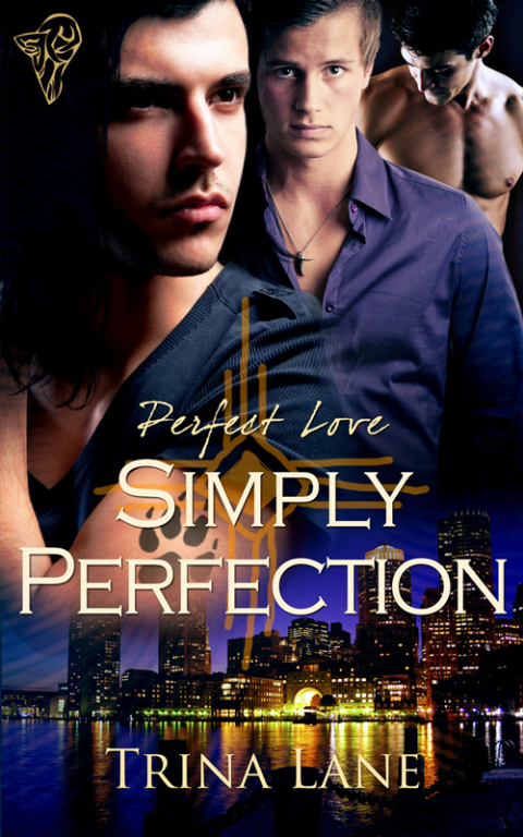 Cover image for book Simply Perfection