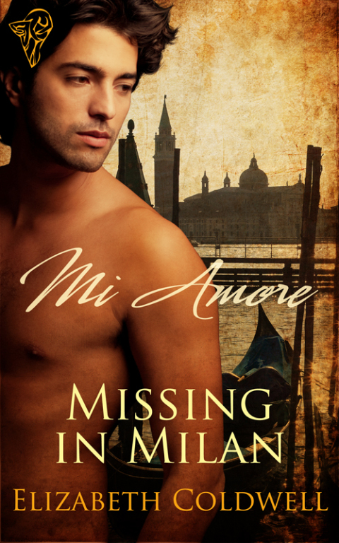 Cover image for book Missing in Milan
