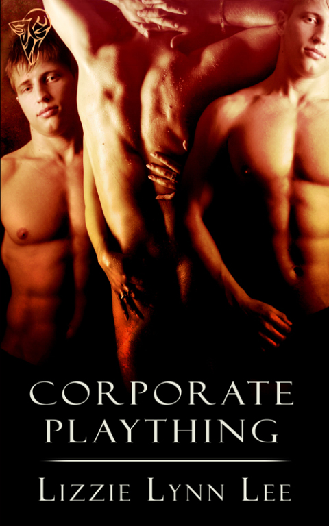 Cover image for book Corporate Plaything