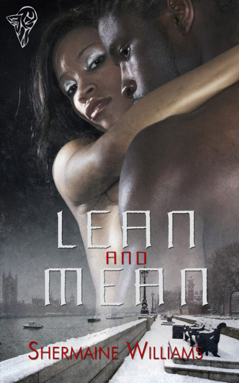 Cover image for book Lean and Mean