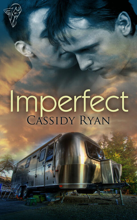 Cover image for book Imperfect