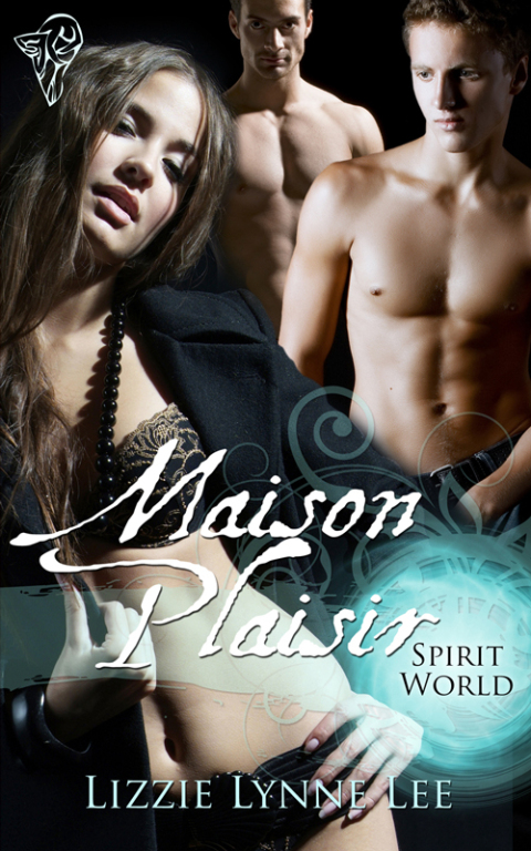 Cover image for book Maison Plaisir