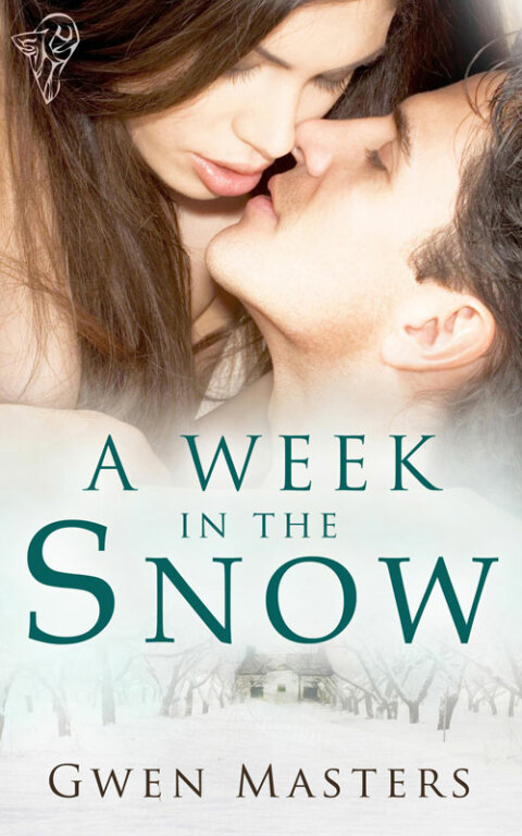 Cover image for book A Week in the Snow