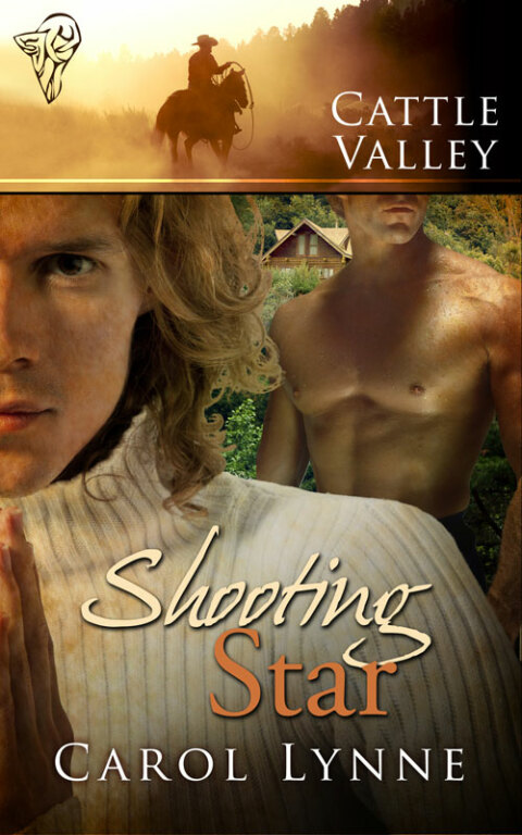 Cover image for book Shooting Star