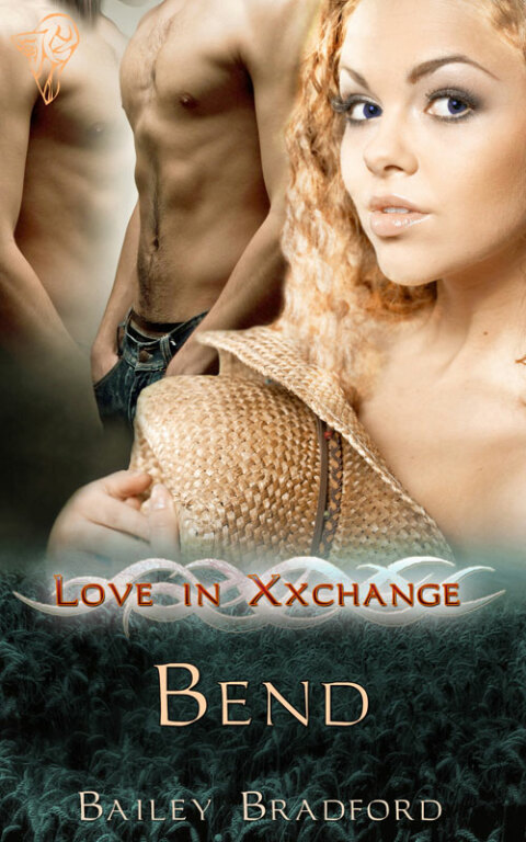 Cover image for book Bend