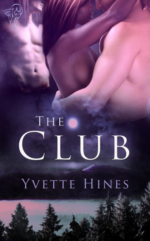 Cover image for book The Club