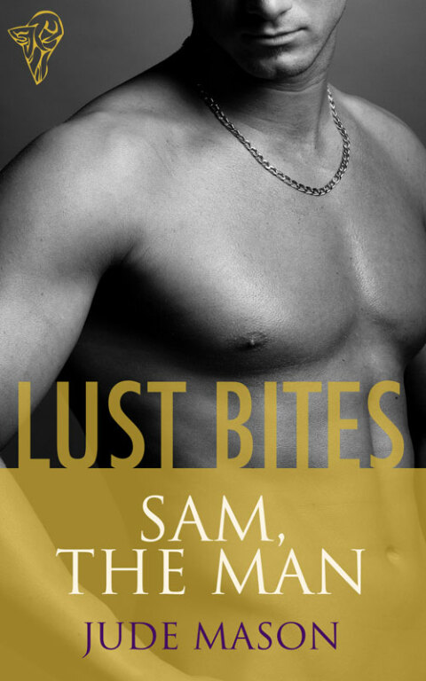 Cover image for book Sam, the Man