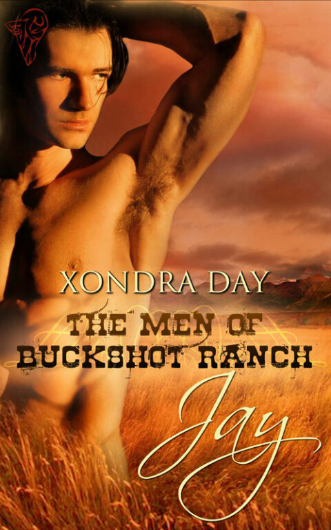 Cover image for book Jay