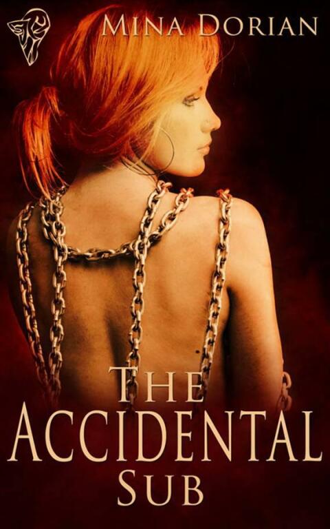 Cover image for book The Accidental Sub