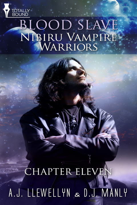 Cover image for book Nibiru Vampire Warriors: Chapter Eleven