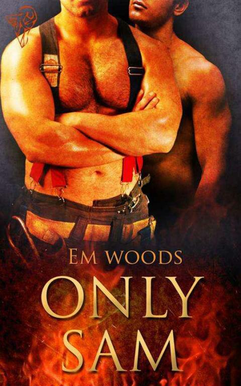 Cover image for book Only Sam