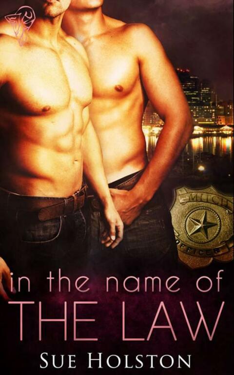 Cover image for book In the Name of the Law