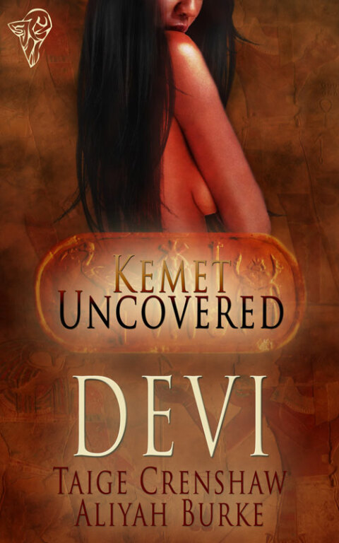 Cover image for book Devi