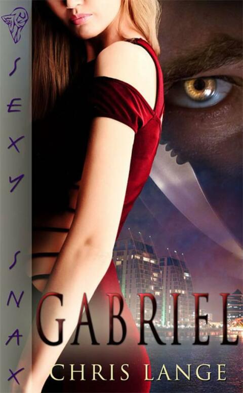 Cover image for book Gabriel