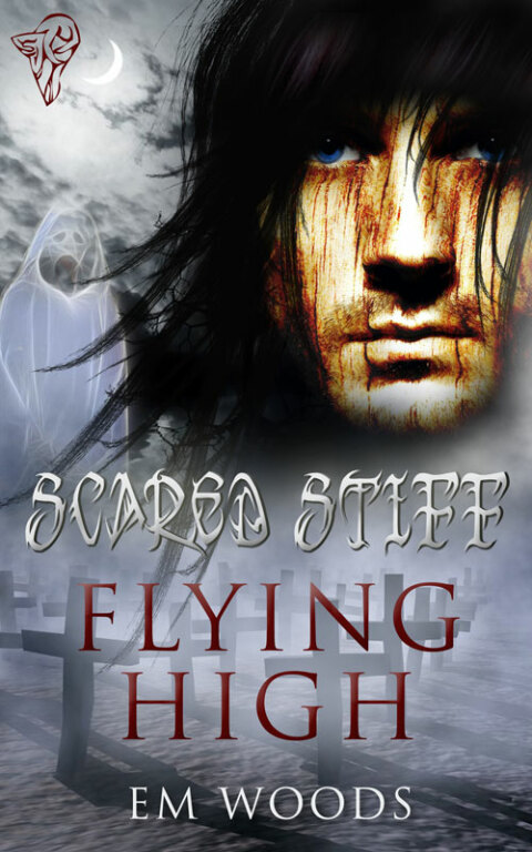 Cover image for book Flying High
