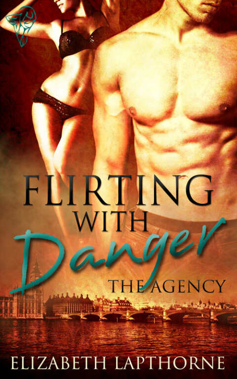Cover image for book Flirting With Danger