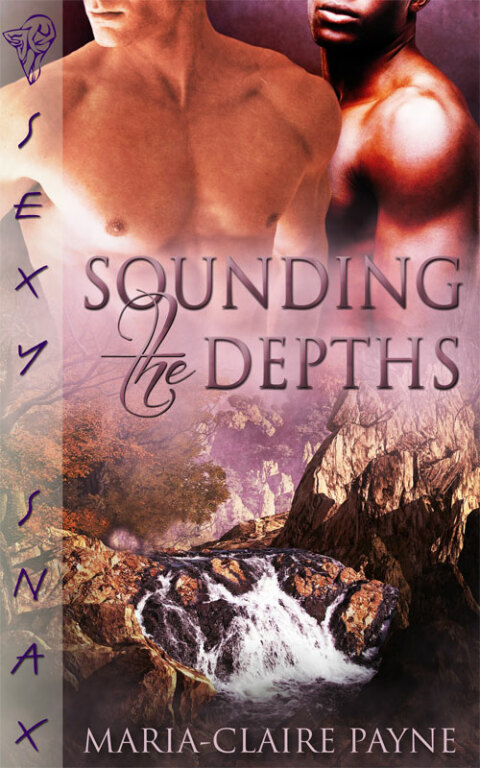 Cover image for book Sounding the Depths