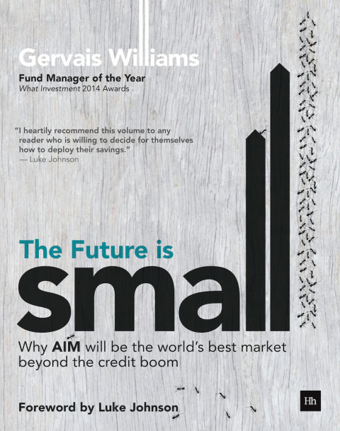 Cover image for book The Future is Small