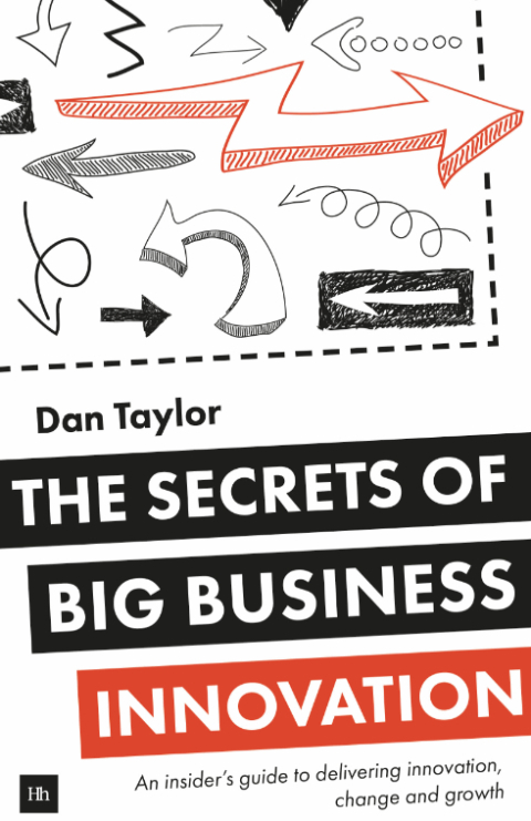Cover image for book The Secrets of Big Business Innovation
