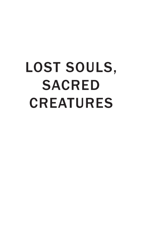 Cover image for book Lost Souls, Sacred Creatures