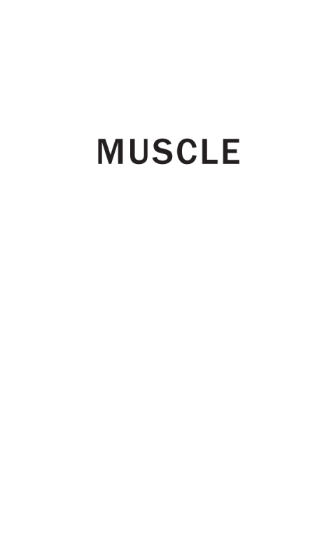 Cover image for book Muscle