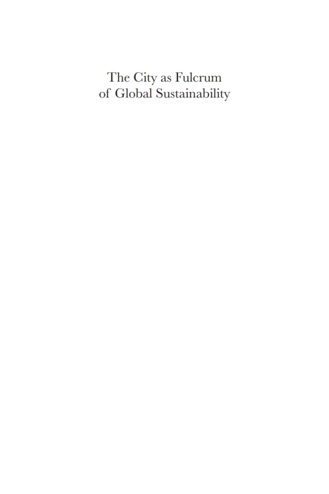Cover image for book The City as Fulcrum of Global Sustainability