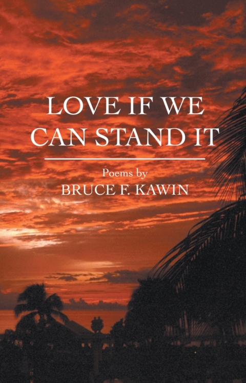 Cover image for book Love If We Can Stand It