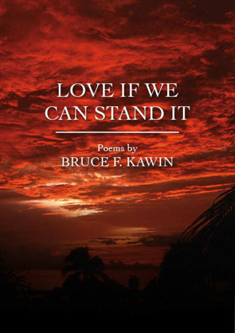 Cover image for book Love If We Can Stand It