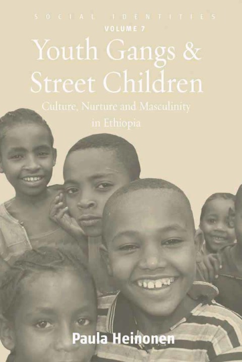 Cover image for book Youth Gangs and Street Children