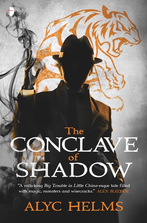 Cover image for book The Conclave of Shadow