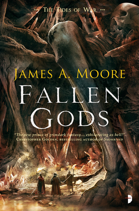 Cover image for book Fallen Gods