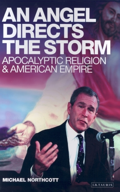 Cover image for book An Angel Directs the Storm