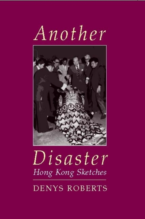 Cover image for book Another Disaster